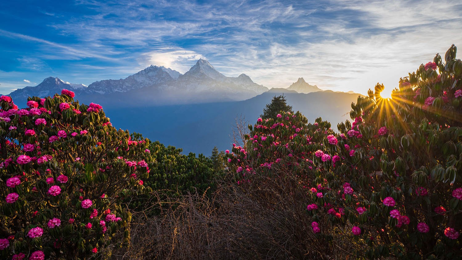 Poon Hill, Ghorepani travel view
